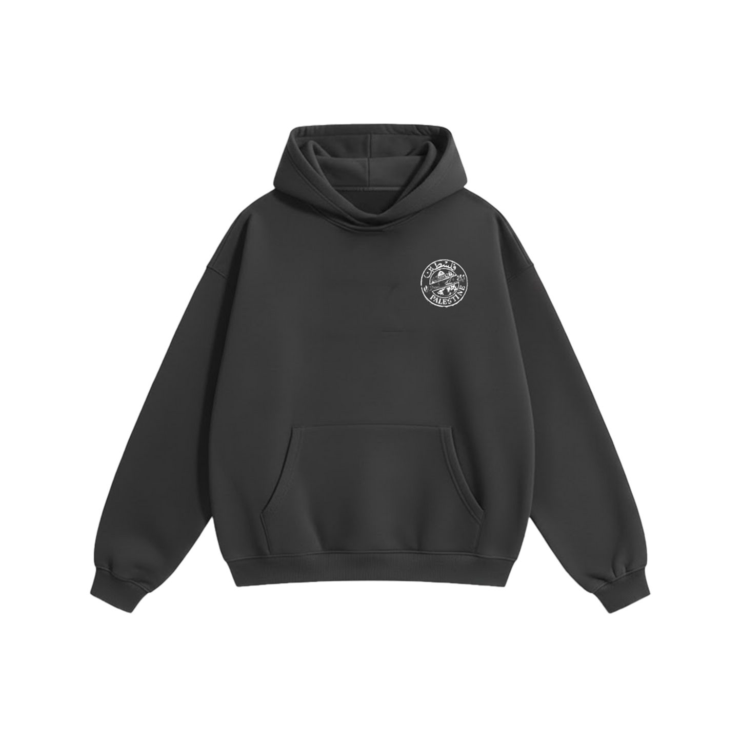 PALESTINE Oversized Hoodie