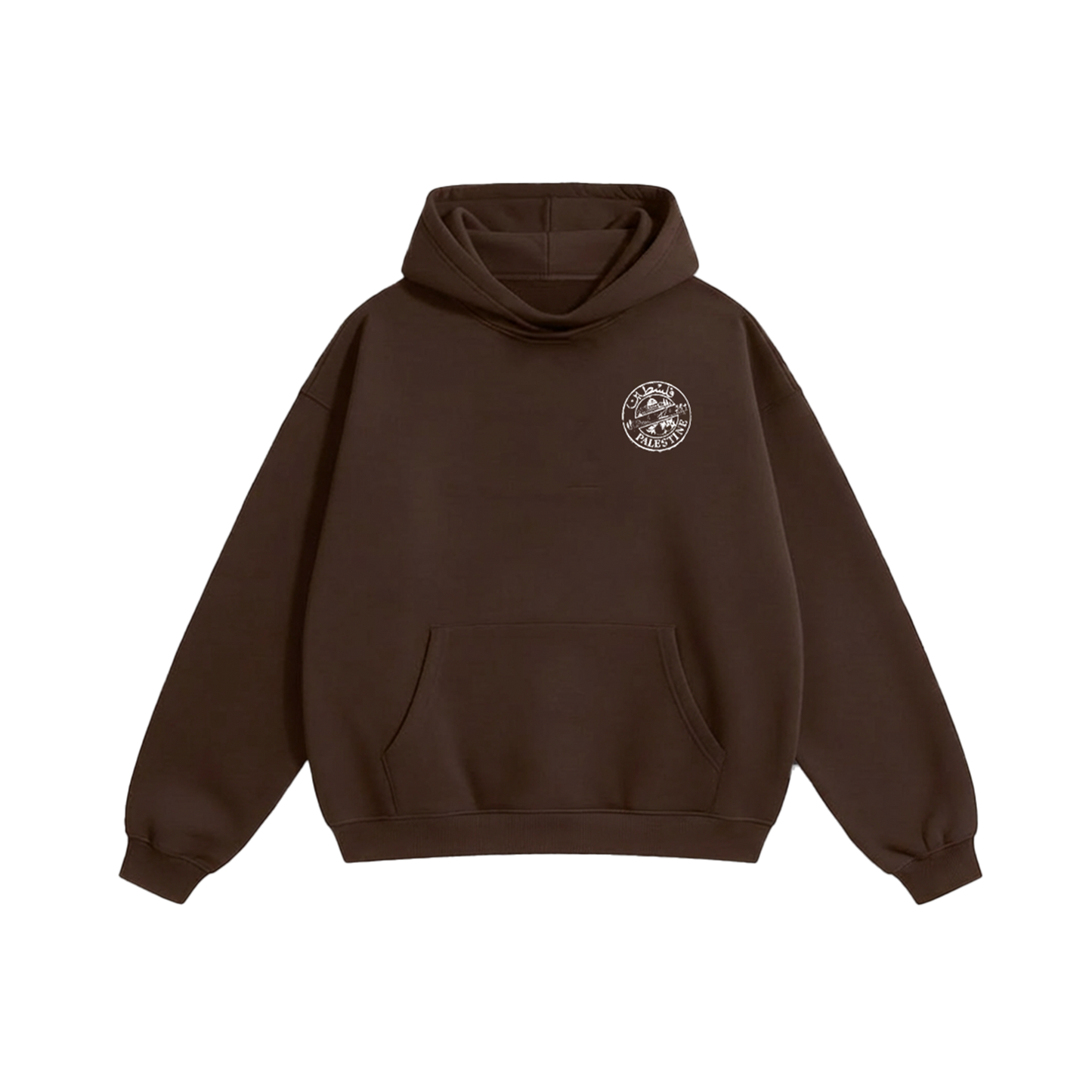 PALESTINE Oversized Hoodie